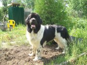 Превью фото № 157837