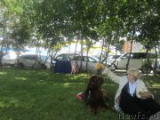 Превью фото № 157840