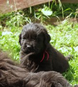 Превью фото № 157906