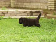 Превью фото № 157910