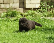 Превью фото № 157911