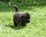 Превью фото № 157913