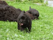 Превью фото № 157934