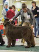 Превью фото № 157966