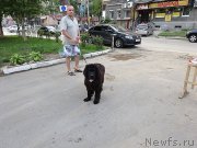 Превью фото № 158047