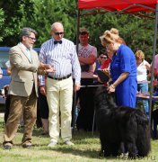 Превью фото № 158066