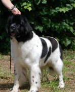 Превью фото № 158078