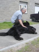 Превью фото № 158194