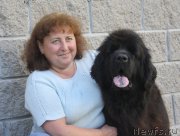 Превью фото № 158207