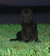 Превью фото № 158265