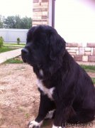 Превью фото № 158315