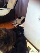 Превью фото № 158321