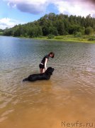 Превью фото № 158323