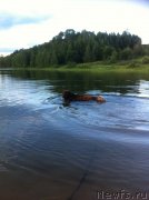 Превью фото № 158324