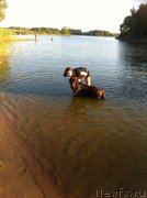 Превью фото № 158326