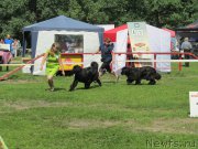 Превью фото № 158333