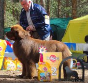 Превью фото № 158372