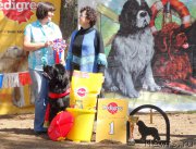 Превью фото № 158374