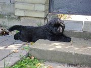 Превью фото № 158401