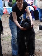 Превью фото № 158408