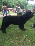 Превью фото № 158471