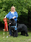 Превью фото № 158528