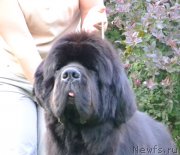 Превью фото № 158580