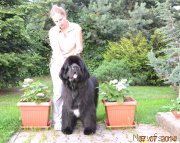 Превью фото № 158583