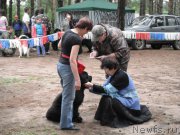 Превью фото № 158609