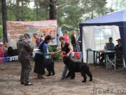 Превью фото № 158630