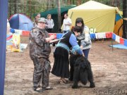 Превью фото № 158633