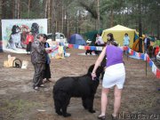 Превью фото № 158634