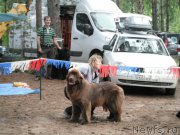 Превью фото № 158646