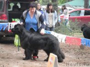 Превью фото № 158648