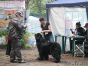 Превью фото № 158649