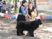 Превью фото № 158652