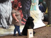 Превью фото № 158658