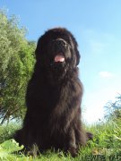 Превью фото № 158670