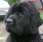 Превью фото № 15874