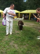 Превью фото № 158750