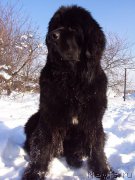 Превью фото № 158787