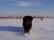 Превью фото № 158788