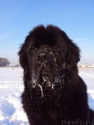 Превью фото № 158789