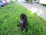 Превью фото № 158859