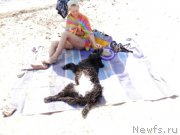 Превью фото № 158882