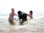 Превью фото № 158886