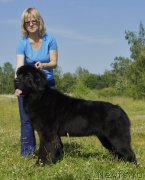 Превью фото № 158887