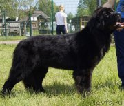 Превью фото № 158888