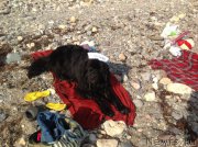 Превью фото № 158902