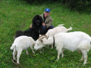 Превью фото № 158919